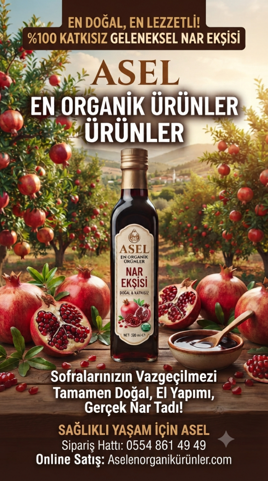Nar Ekşisi